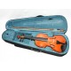 VIOLIN INICIACION