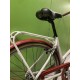 BICICLETA PASEO ADRIATICA