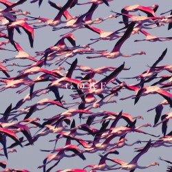 VINILO DEFTONES - GORE (2XLP, ALBUM, LTD, WHI)