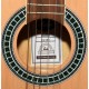 GUITARRA CLASICA ASHTON CG3BR