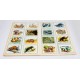ALBUM DE CROMOS NATURALEZA Y COLOR 1980