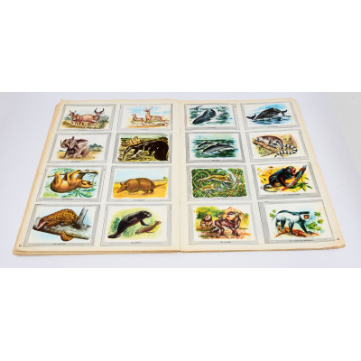 ALBUM DE CROMOS NATURALEZA Y COLOR 1980