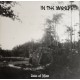 In The Woods... - Isle Of Men (CD, Album, RE, Jew)
