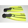 ALETAS BUCEO NEMROD