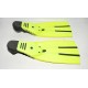 ALETAS BUCEO NEMROD