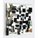 Setting - Shone A Rainbow Light On (CD, Album, Dig)