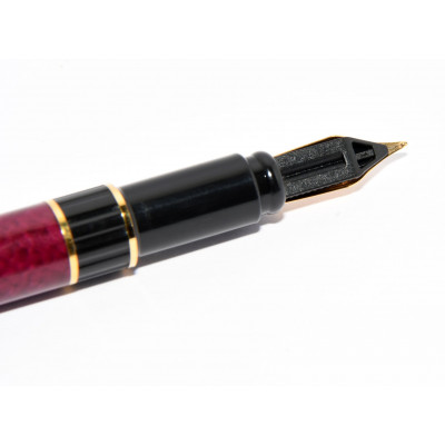 PLUMA WATERMAN CENTURION PLUMIN F