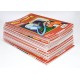 COLECCION DRAGON BALL INCOMPLETA