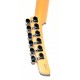 GUITARRA ELECTRICA PARKER P38