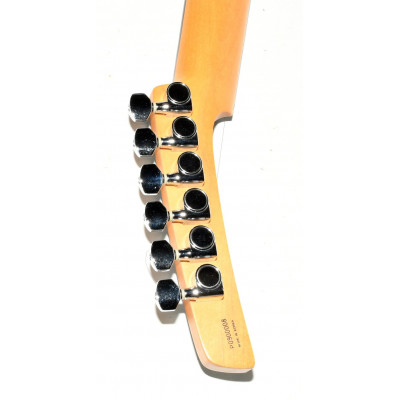 GUITARRA ELECTRICA PARKER P38