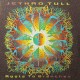 Jethro Tull - Roots To Branches (CD, Album)