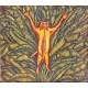 Brian Marsella - Gatos do Sul (CD, Album)