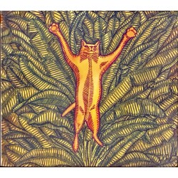Brian Marsella - Gatos do Sul (CD, Album)
