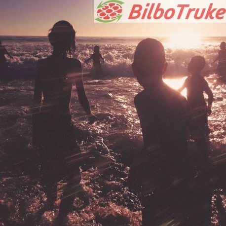 Linkin Park - One More Light (CD, Album)