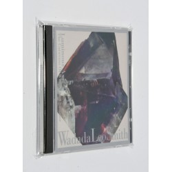 WADADA LEO SMITH - LUMINOUS AXIS (CARAVANS OF WINTER AND SUMMER) (CD, ALBUM)