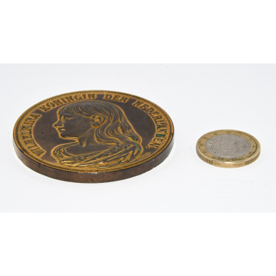 MEDALLA HOLANDESA BRONCE WILHEMINA KONINGIN DER NEDERLNADEN VOEDINGS TENTOONSTELLINS AMASTERDAM 1894
