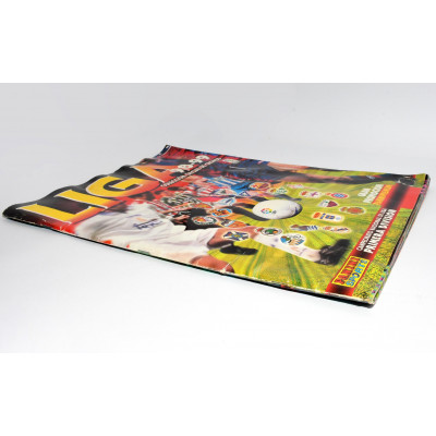 ALBUM DE CROMOS DE LA LIGA PANINI 98-99 INCOMPLETO