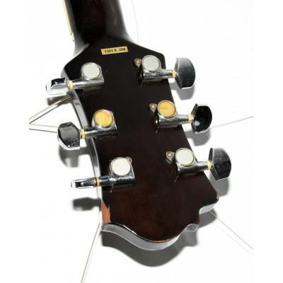 GUITARRA ELECTROACUSTICA BC RICH RE 30