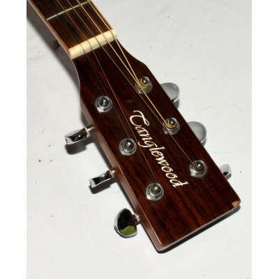 GUITARRA ACUSTICA TANGLEWOOD TW28CLN