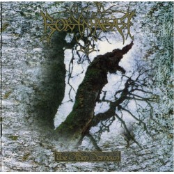 Borknagar - The Olden Domain (CD, Album)