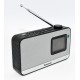 RADIO BT PANASONIC RF-D15EG-K