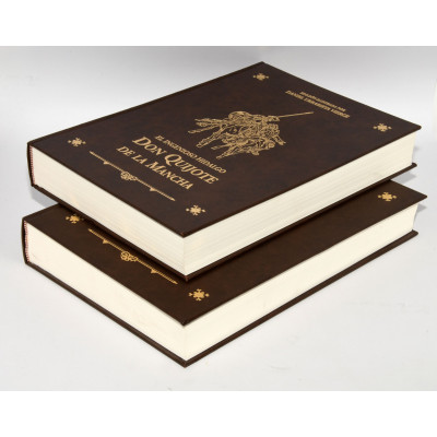LIBRO DON QUIJOTE ILUSTRADO 2 TOMOS