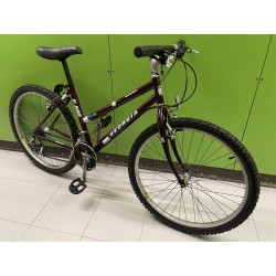 BICICLETA MONTAÑA VINTAGE GEORGIA 880