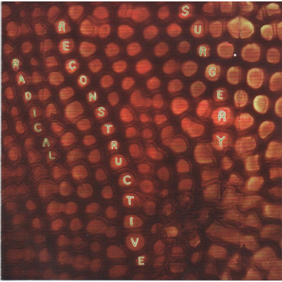 Scotty Hard - Scotty Hard's Radical Reconstructive Surgery (CD, Album)