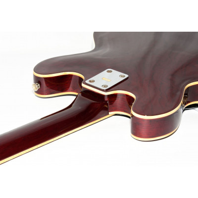 GUITARRA ELECTRICA CWG WINNER SA620