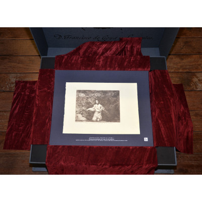 DESASTRES DE LA GUERRA DE FRANCISCO DE GOYA - 80 LAMINAS - PLANETA - EDICIÓN LIMITADA