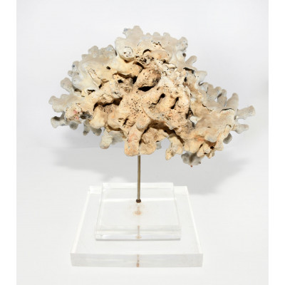 CORAL AZUL DECORATIVO|BILBOTRUKE SEGUNDA MANO