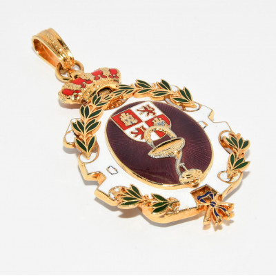 MEDALLA ACADEMIA DE FARMACIA CASTILLA Y LEON