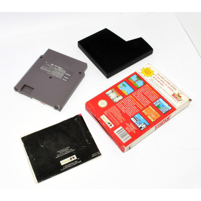 VIDEOJUEGO NINTENDO NES ASTERIX (FR)