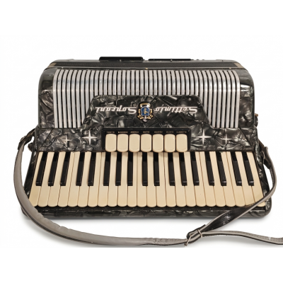 ACORDEON PARROT POLOFONICO120BAJOS 7 REGISTROS BILBOTRUKE SEGUNDA MANO