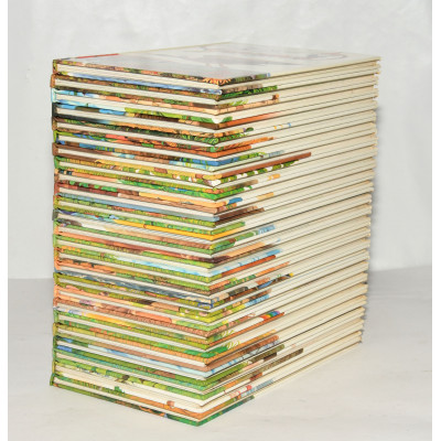 COLECCION EL LIBRO SECRETO DE LOS GNOMOS (25 TOMOS)