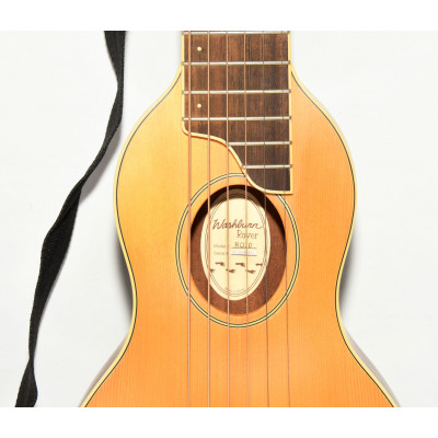 GUITARRA ACUSTICA WASHBURN ROVER RO10
