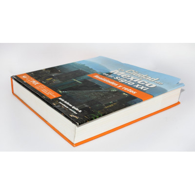 LIBRO LA CIUDAD DE MEXICO EN EL S XIX REALIDADES Y RETOS