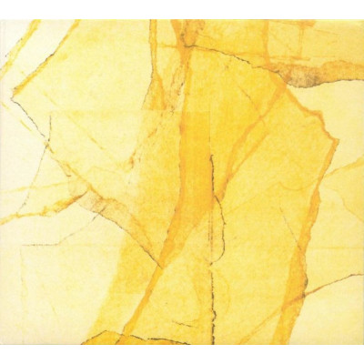 Wadada Leo Smith • Amina Claudine Myers - Central Park's Mosaics Of Reservoir, Lake, Paths And Gardens (CD, Album)
