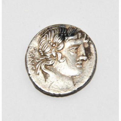 DENARIO GENS VIVIA REPUBLICA ROMANA