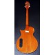 GUITARRA ACUSTICA LTD ESP TL-6