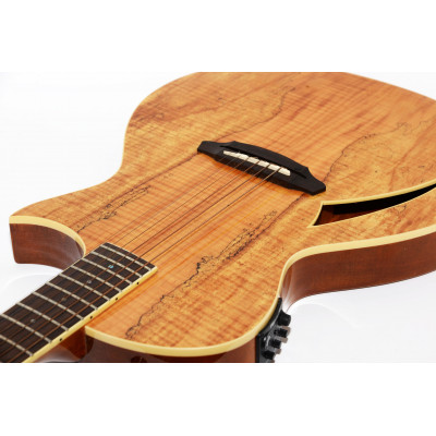 GUITARRA ACUSTICA LTD ESP TL-6