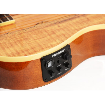 GUITARRA ACUSTICA LTD ESP TL-6