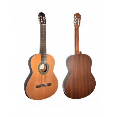 GUITARRA CLASICA PACO CASTILLO 201