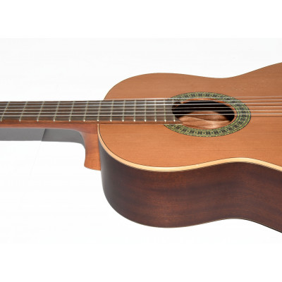 GUITARRA CLASICA PACO CASTILLO 201