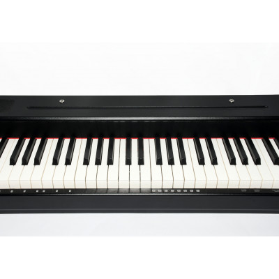 PIANO ELECTRICO SOUDIMY G-310W