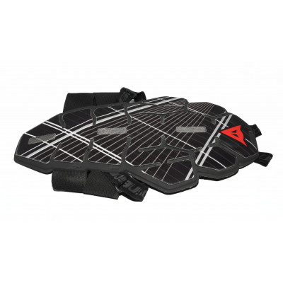 ESPALDERA DE MOTO DAINESE