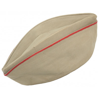 CARNET DE CONDUCIR CAMELLOS Y LOTE MILITAR