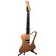 GUITARRA EPIPHONE FIREBIRD 1 LTD ED 2016 JOE BONAMASSA TREASURE