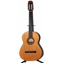 GUITARRA ADMIRA SOMBRA