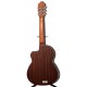 GUITARRA AUTOAMPLIFICADA CAMPS NAC-1 ECO